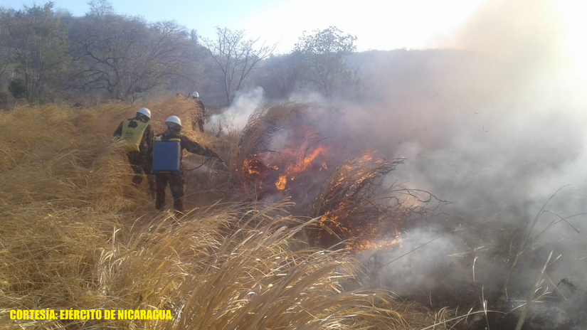 ejercito-controla-incendio-forestal